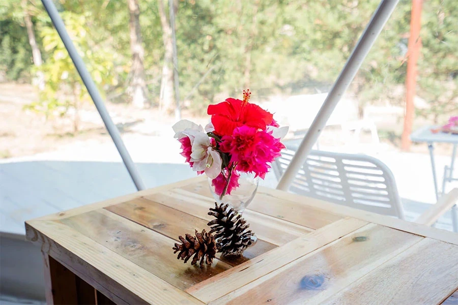 https://baitulongmountainresort.com/storage/product/undefined/Glamping-1-giuong-6.webp
